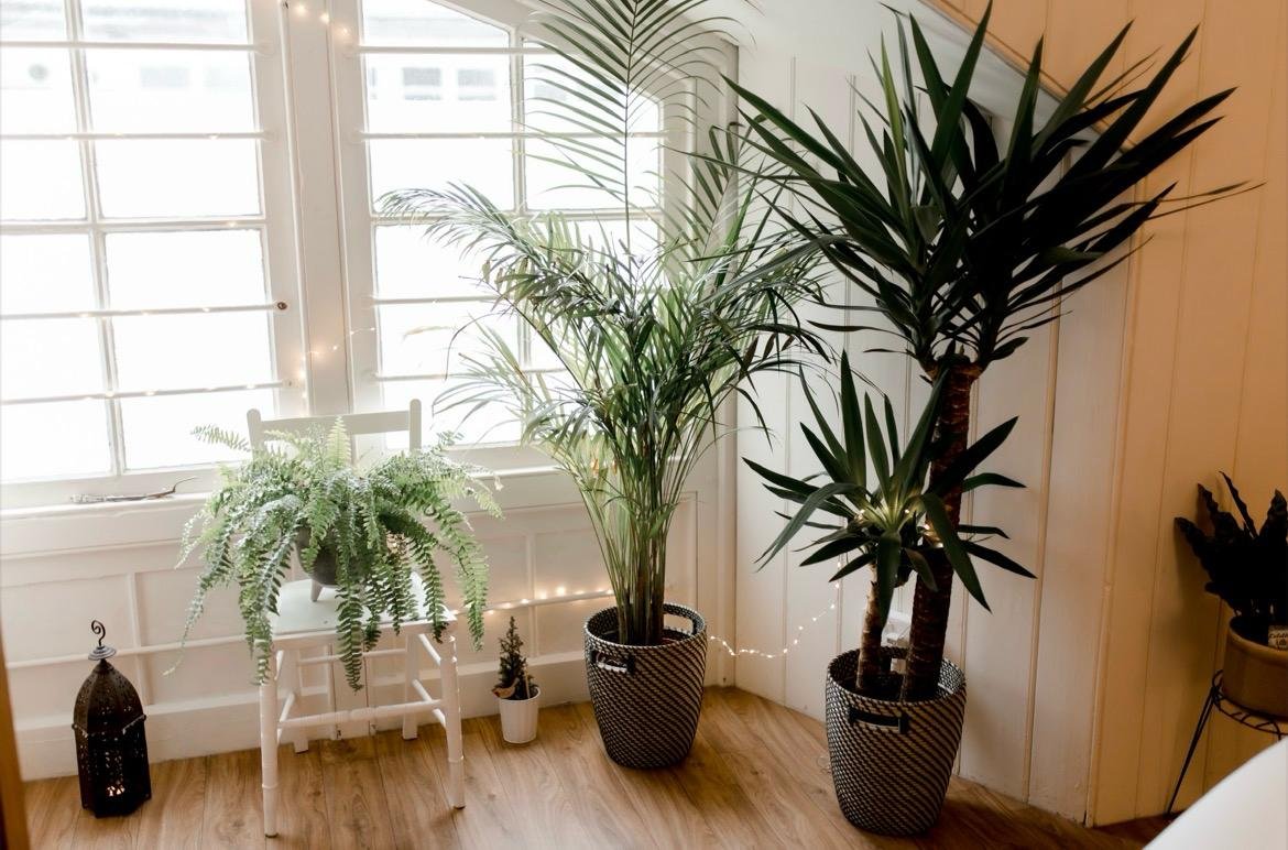 Clinic_2.3.1